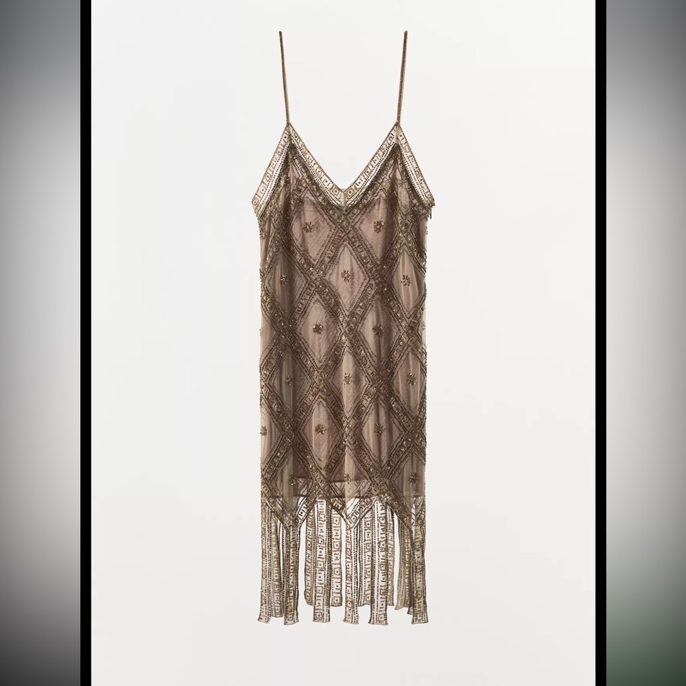 Zara limited edition EMBROIDERED TULLE Mini DRESS - Picture 13 of 15